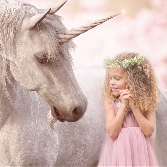 Reasonable offers welcome! - Picture 8 of 10